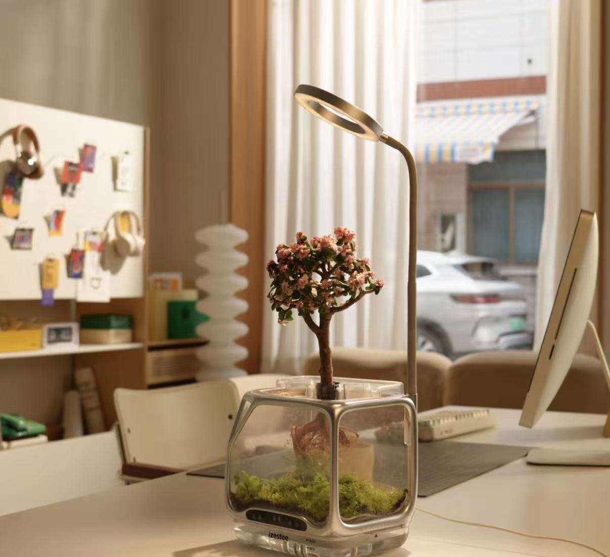 Desktop nebulizer planter