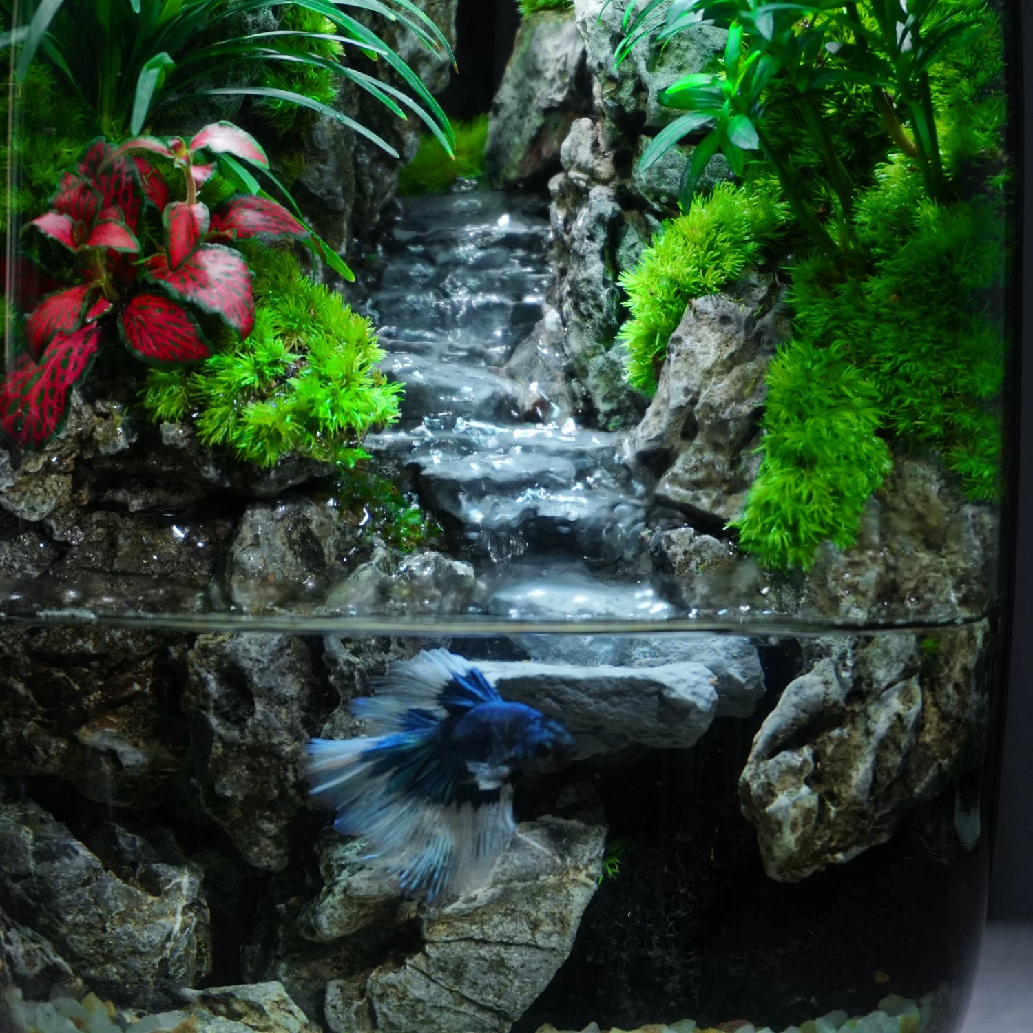 [Flowing water] Eco desktop micro landscape