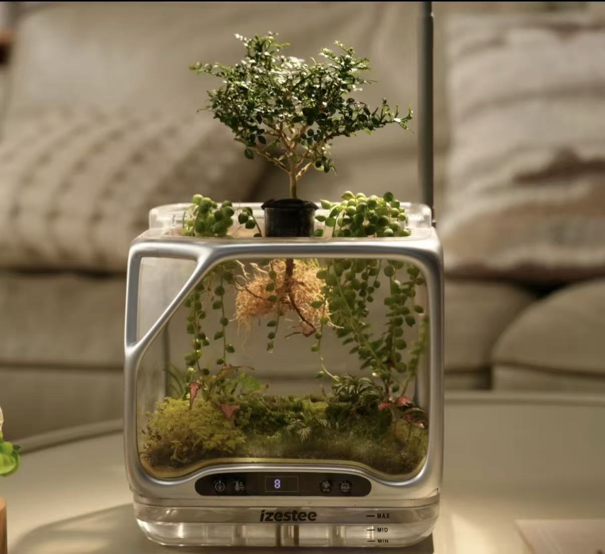 Desktop nebulizer planter