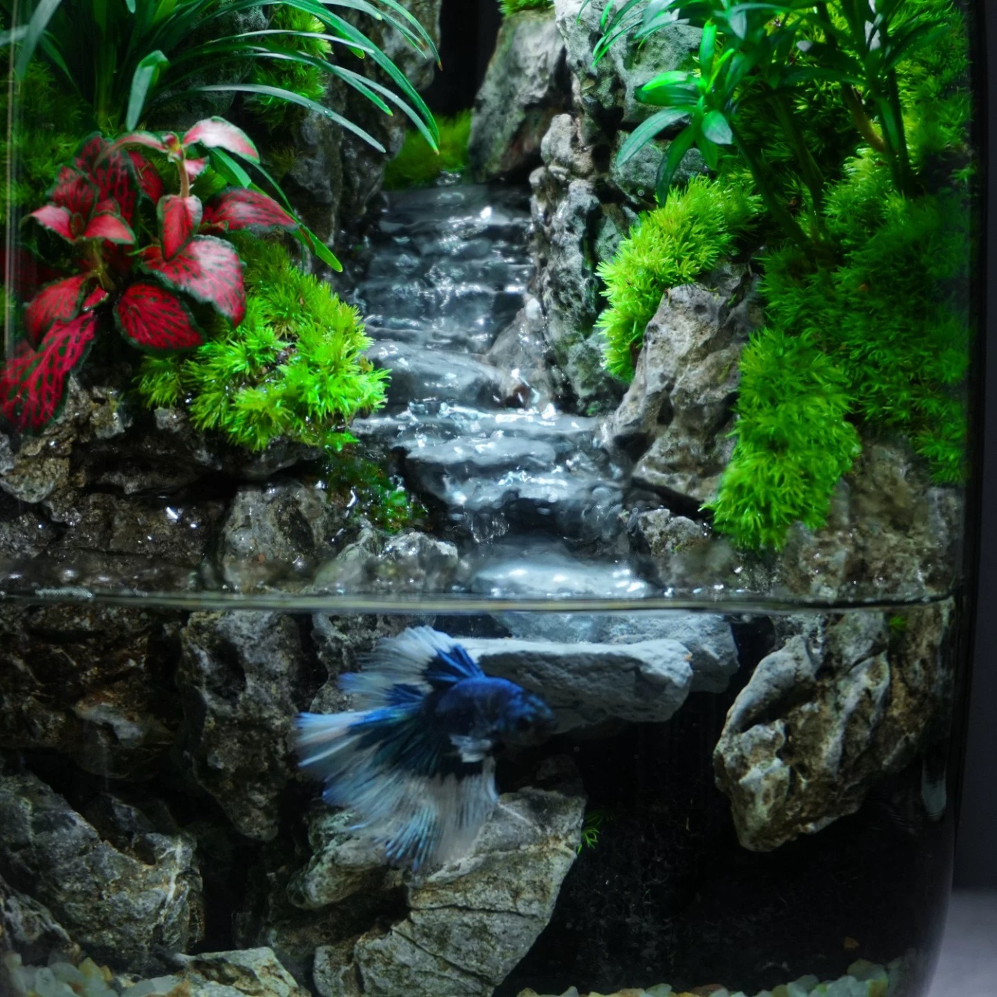 [Flowing water] Eco desktop micro landscape