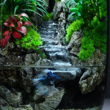 [Flowing water] Eco desktop micro landscape