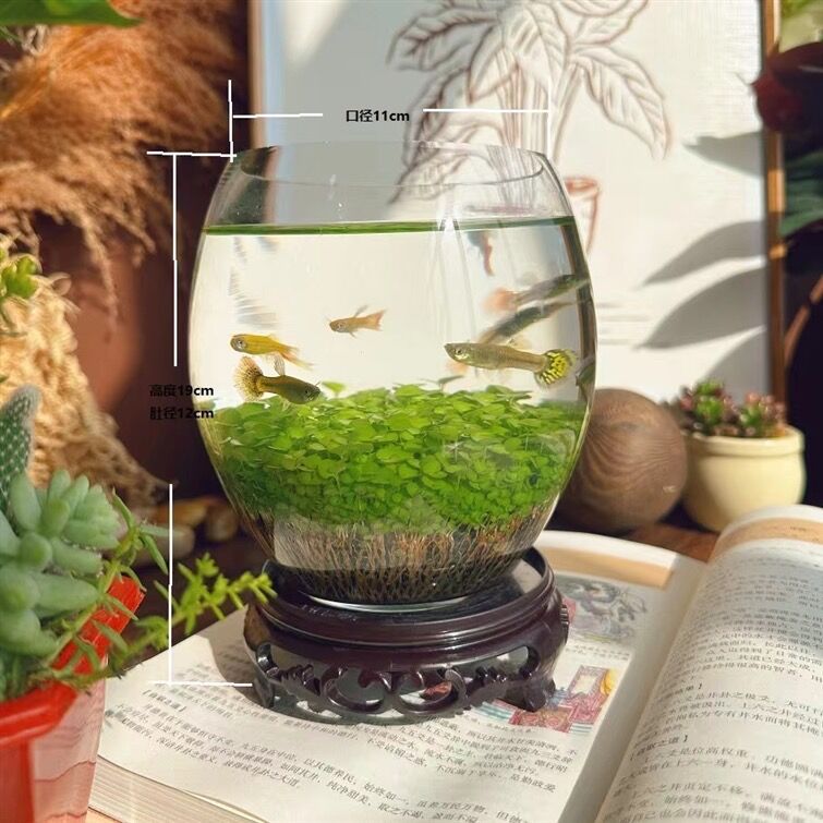 Goose egg-shaped water weed tank