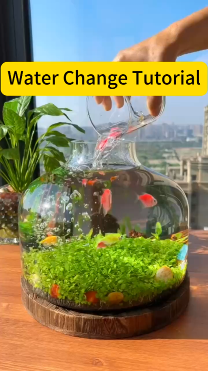 Drifting bottle ecological aquatic grass tank