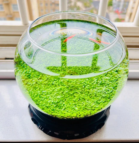 Ecological water grass tank round cylinder set