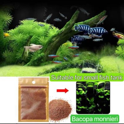 Small pair of leaves water grass seeds