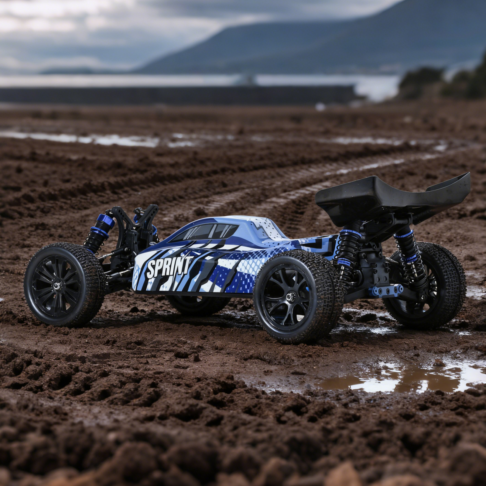 SPRINT 1/10 Scale 4WD Off-road Electric RC buggy 2.4G Brushless High Speed RTR #RH1068