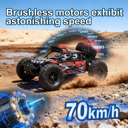 AGAMA 1/10 Scale 4WD Off-road Electric Sand buggy 2.4G Brushless High Speed RTR #RH1062