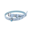 Blue Silver
