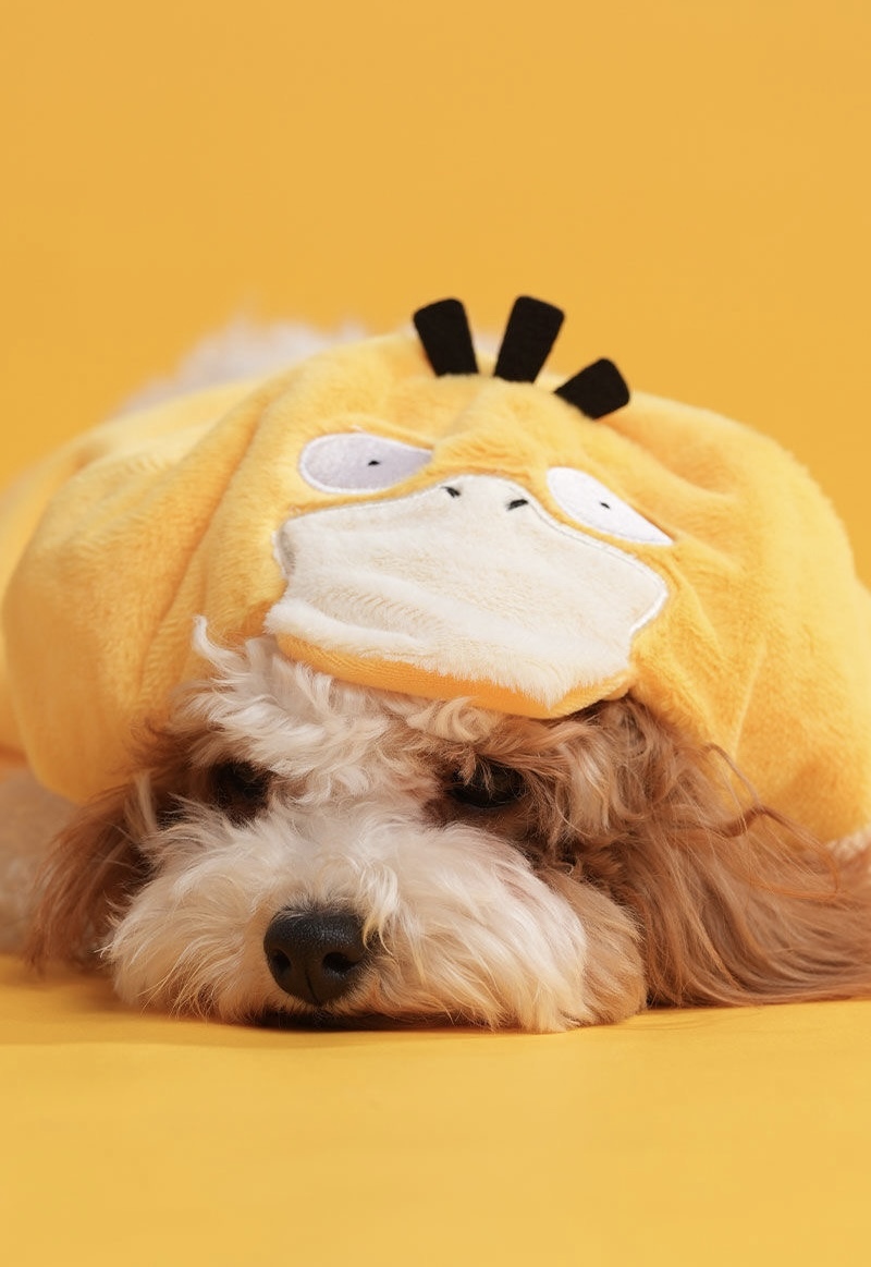 Pet Hooded Cloak Series Cat Small Dogs
