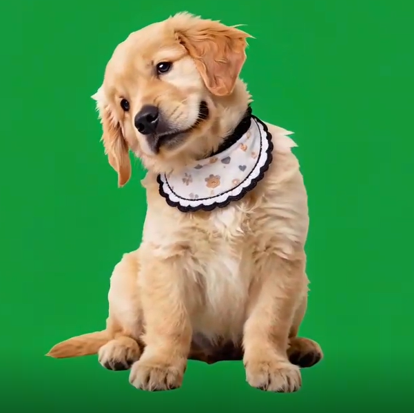 Holographic Digital Sences For Pet Holographic Digital House(Only Digital Sences Video by E-mail; Pet House Need to be purchased separately) - soufeeluk