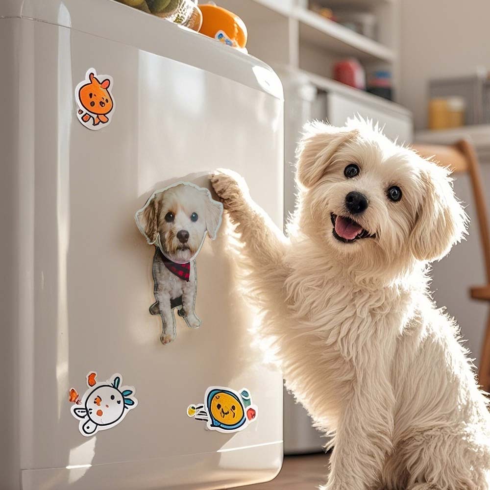 Personalized Refrigerator Magnet with Photo Pet Portrait Fridge Magnets Home Decoration Gifts for Pet Lover - soufeeluk