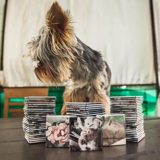 Custom Photo Magnets Set of 9