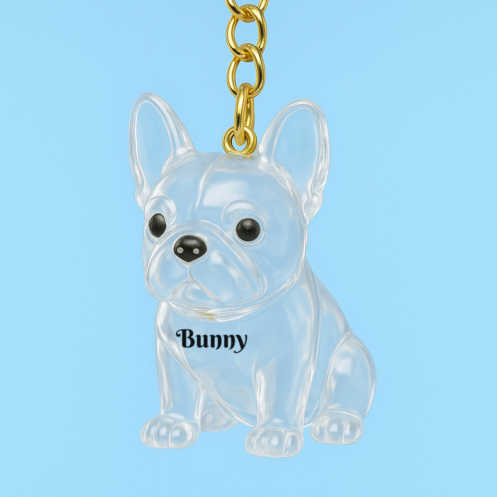 Schlüsselanhänger Für Hundehaarsammler, Taschenanhänger, Gedenk-aufbewahrungsbox, Sentimental, Perfekt Zum Aufbewahren Von Tierhaaren, Geschenk Für Hundeliebhaber