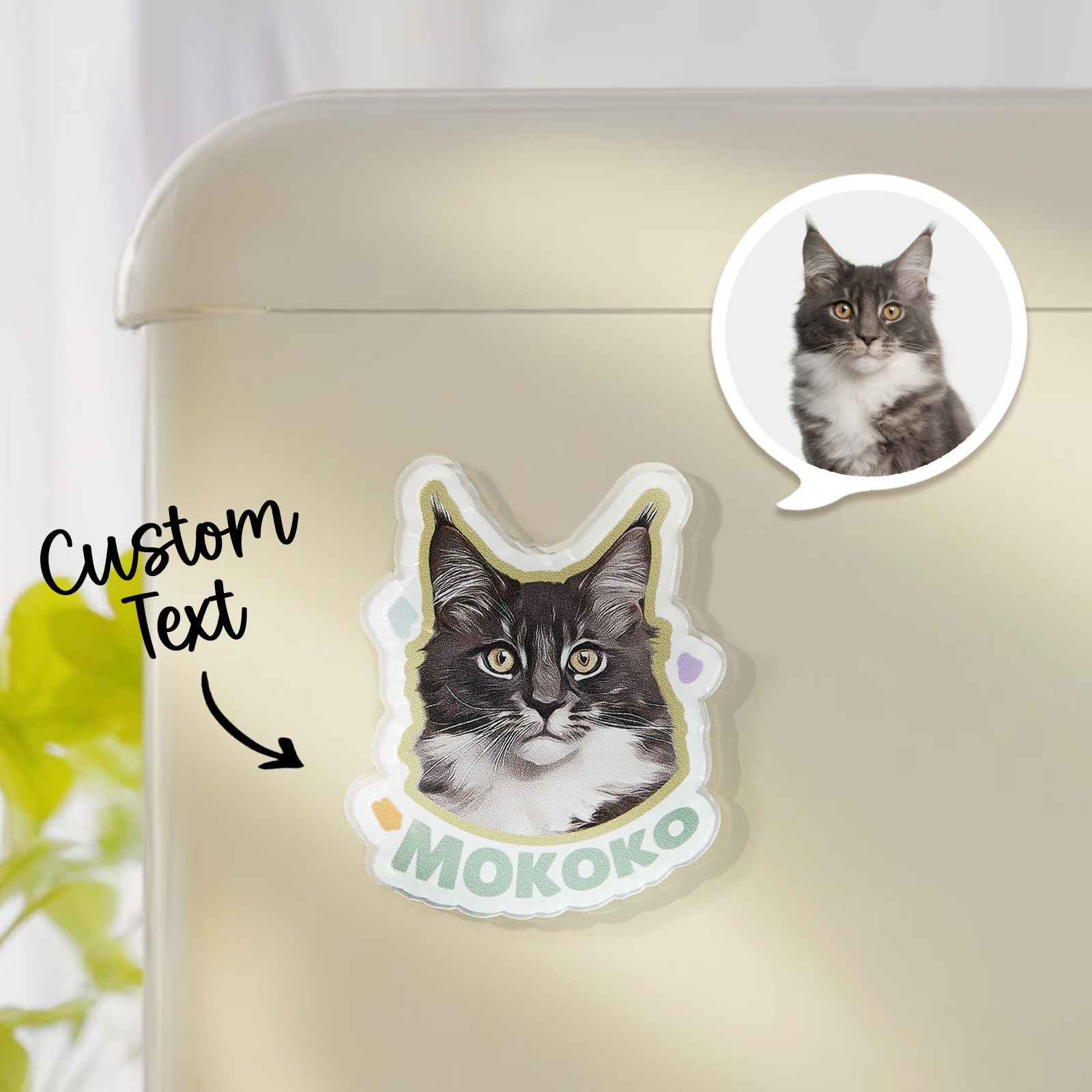 Personalisierte Haustier Foto Acryl Kühlschrank Magnete Custom Bild Andenken