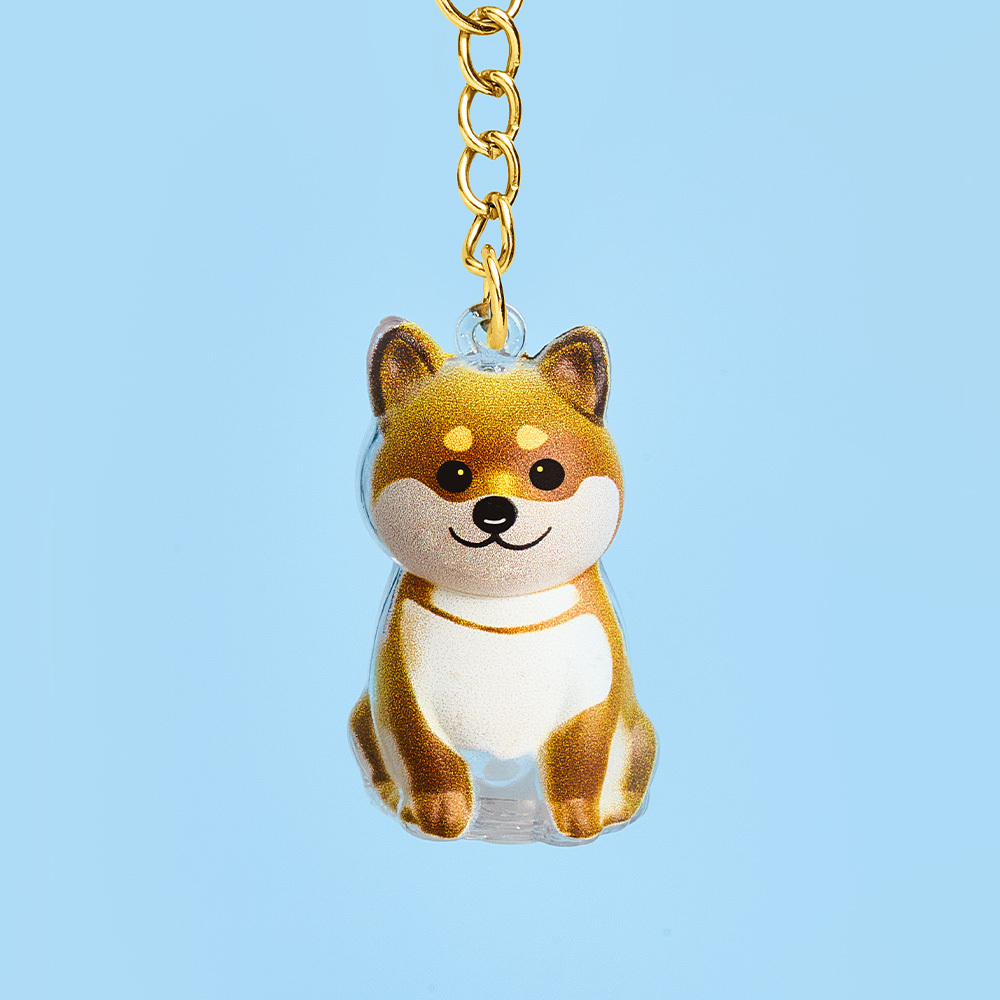Schlüsselanhänger Für Hundehaarsammler, Taschenanhänger, Gedenk-aufbewahrungsbox, Sentimental, Perfekt Zum Aufbewahren Von Tierhaaren, Geschenk Für Hundeliebhaber - soufeelde