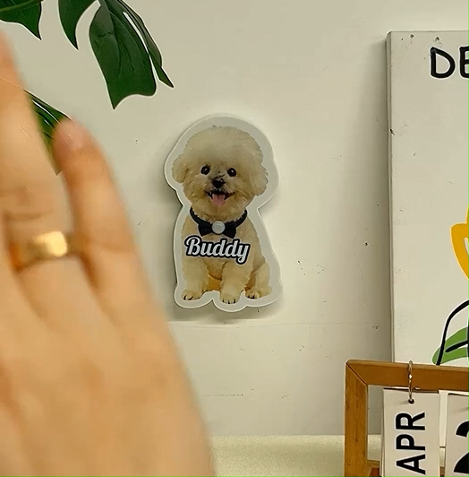 Lámpara De Pared Personalizada Con Sensor De Movimiento Para Gatos Y Perros, Luz Nocturna Personalizada Con Foto De Mascota Para Amantes De Los Animales.