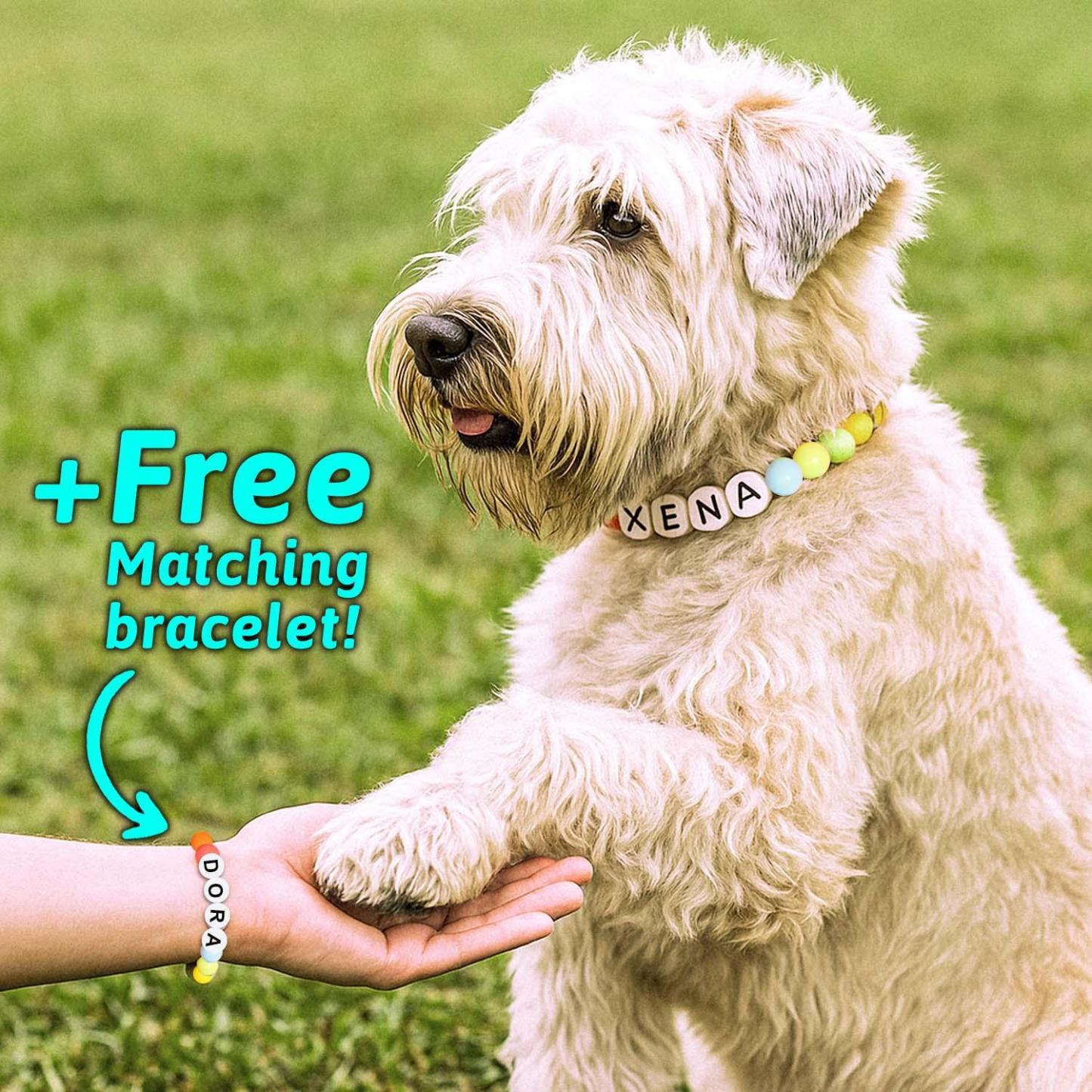 Collar Con Nombre De Mascota Personalizado. Incluye Una Pulsera A Juego De Regalo Gratis Para Tu Mascota. - soufeeles