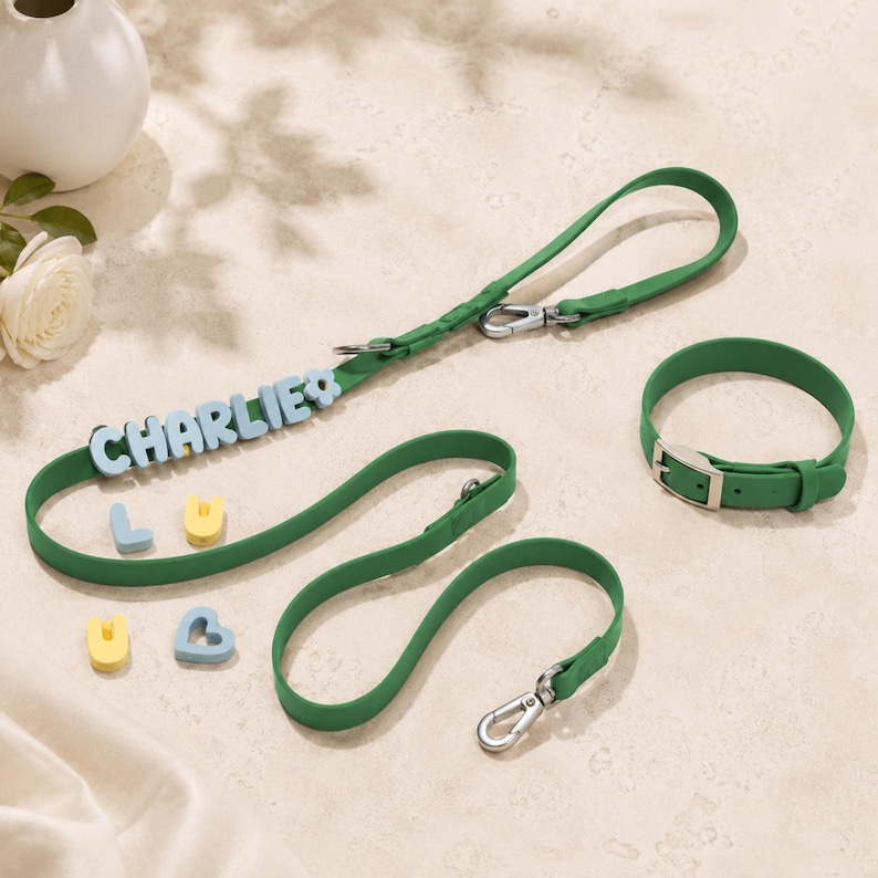 Collier Pour Animaux De Compagnie En Silicone Imperméable Personnalisé, Breloques De Lettres Remplaçables, Ensemble De Collier Et De Laisse Pour Animaux De Compagnie, Facile à Nettoyer, Fournitures D'extérieur Pour Animaux De Compagnie - soufeelfr