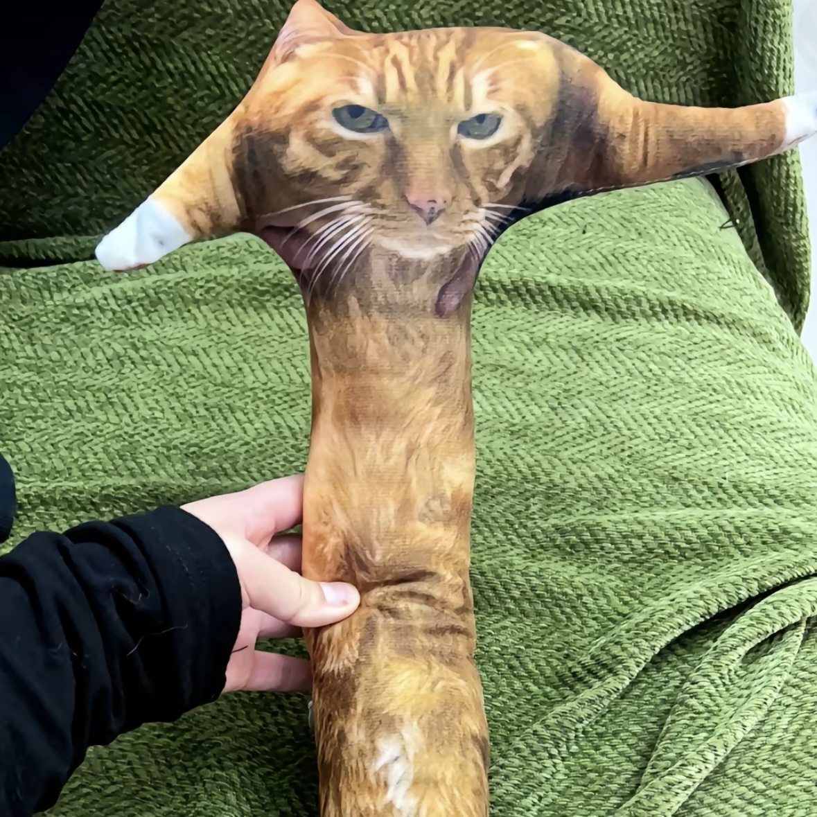 Cuscino Personalizzato Con Foto Di Animali 3d Ritratto Di Animale Domestico Cuscino Da Tiro Brutto Cuscino Per Animali Domestici Gatto Arancione - soufeelit