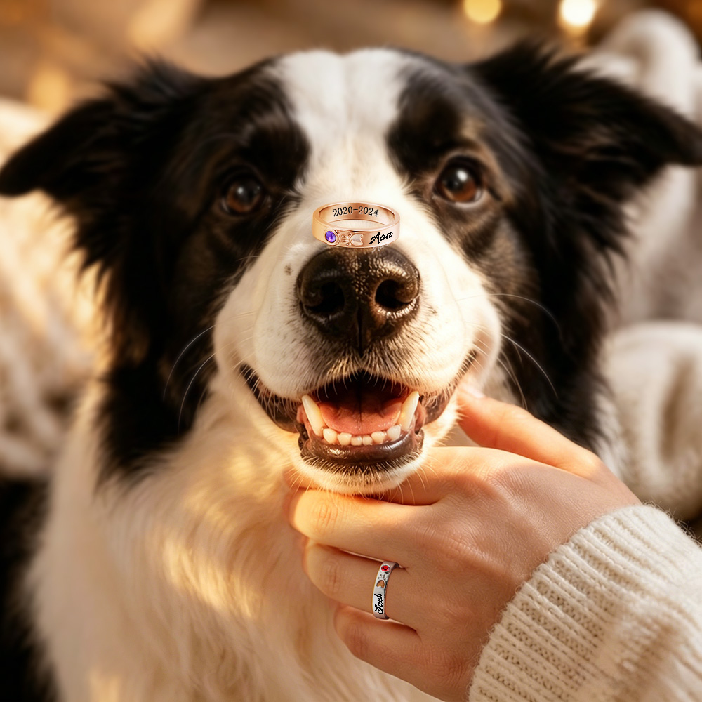 Anello Commemorativo Per Animali Domestici Personalizzato Con Pietra Portafortuna - Gioielli Ricordo Incisi Personalizzati - soufeelit