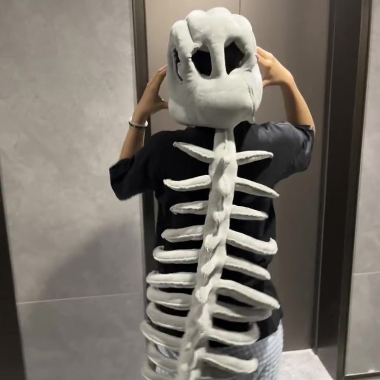 Divertente Peluche A Forma Di Scheletro Di Dinosauro, Creativo, Con Testa Di Dinosauro, Bambola Da Vestire, Regalo Carino - soufeelit