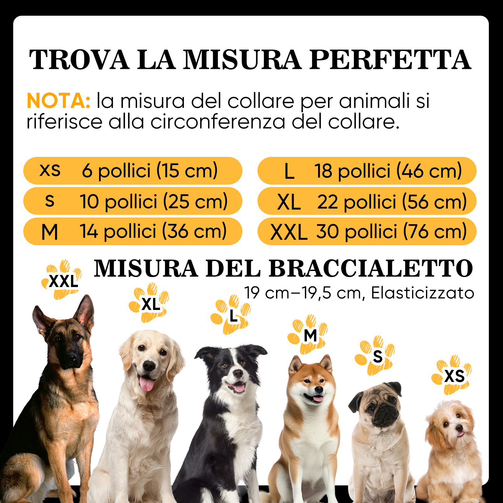 Collana Con Nome Personalizzato Con Braccialetto Abbinato In Omaggio Per Gli Amanti Degli Animali Domestici
