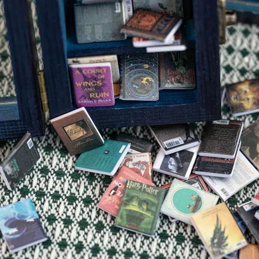 Libreria Ansia In Edizione Tascabile, Libreria Mini, Paesaggio In Miniatura, Libreria In Miniatura, Regalo Per Gli Amanti Dei Libri, Decorazione Dello Studio - soufeelit