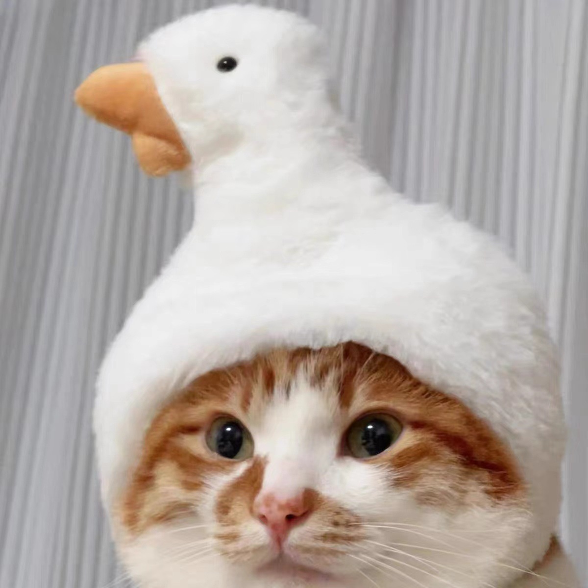 Cappello Regolabile Per Animali Domestici, Costume Invernale Per Gatti E Cani Di Piccola Taglia, Divertente Copricapo Per Animali Domestici - soufeelit