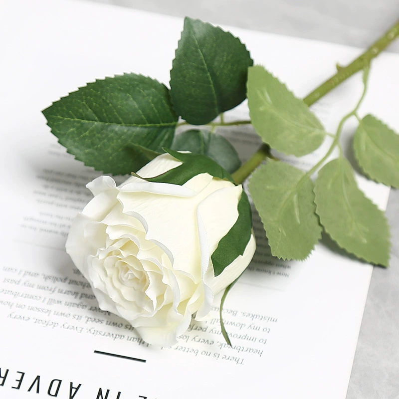 Linda Rosa Personalizada Com Foto Gravável: O Presente Perfeito Para Casais