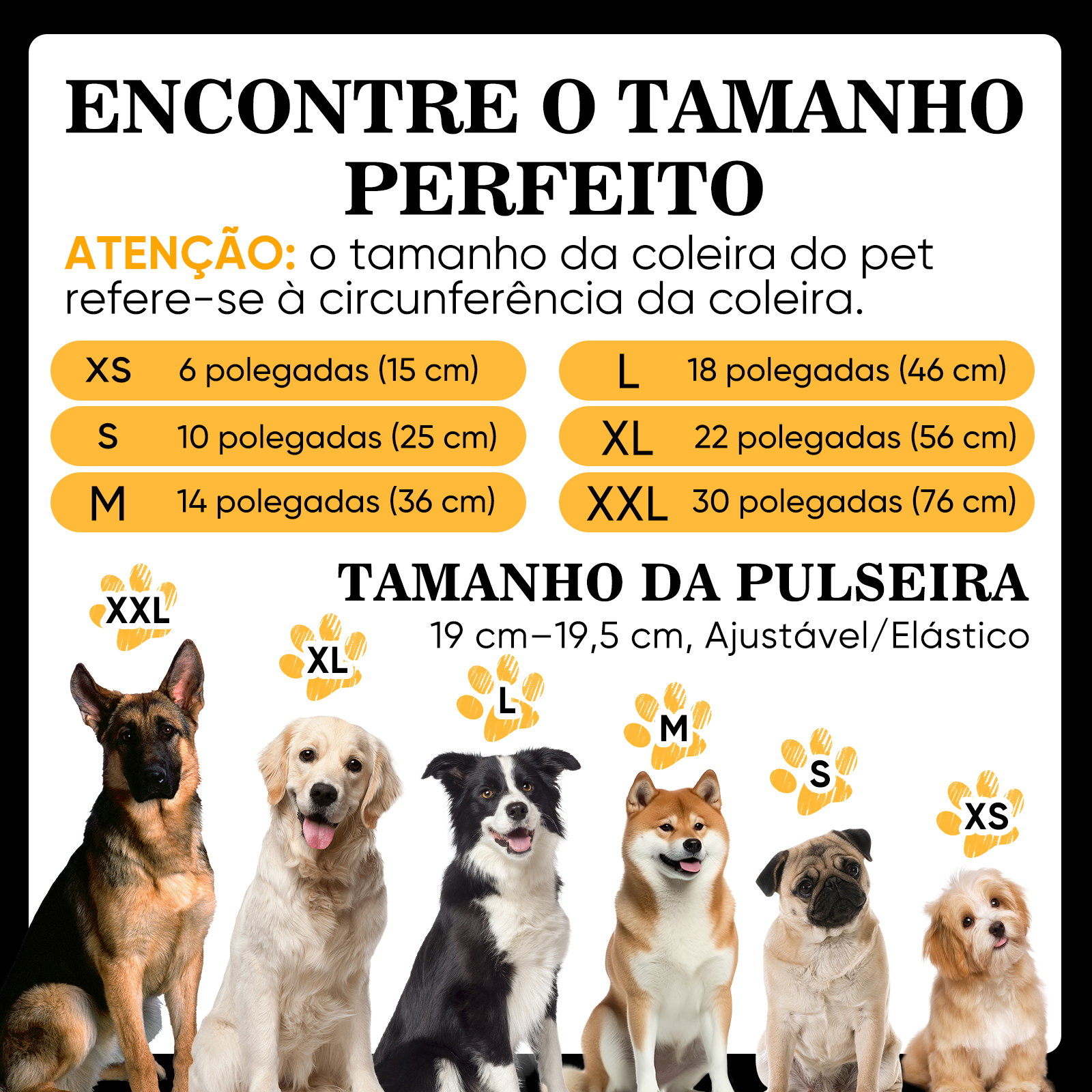 Colar Personalizado Com Nome De Animal De Estimação – Vem Com Uma Pulseira Combinando Grátis