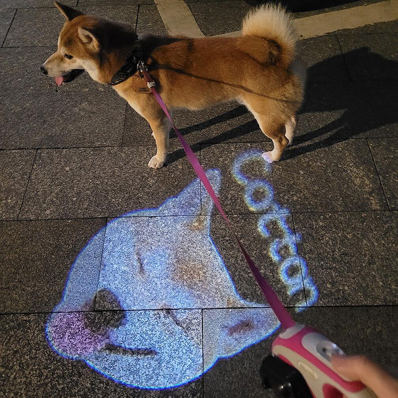 Coleira Personalizada Para Animais De Estimação, Luz Noturna Anti-perda, Luz Social Para Cães, Presentes Para Amantes De Animais De Estimação (sem Coleira) - soufeelbr