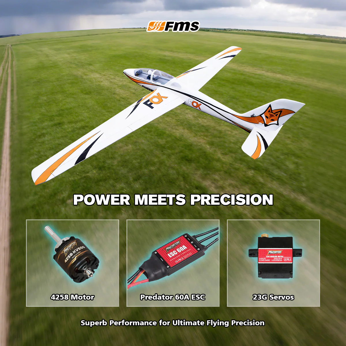 FMS 3000mm Fox Aerobatic EP Glider PNP