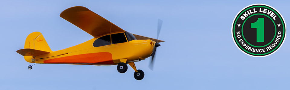 Skill Level 1 for the HobbyZone Champ Anniversary Edition RC Plane