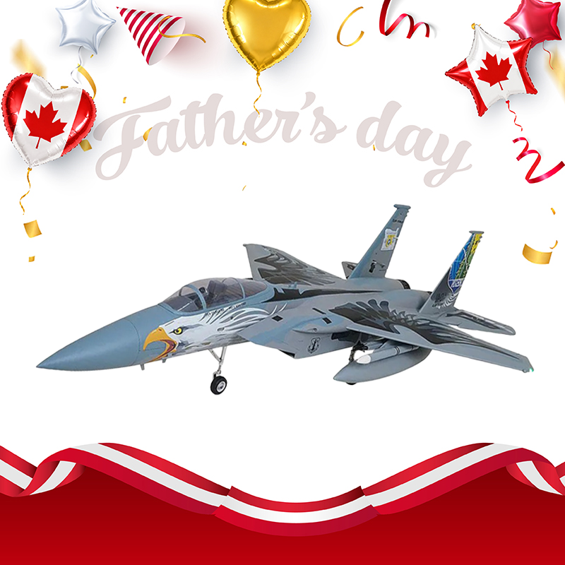 Arrows F-15 Eagle Twin 64mm EDF PNP - Oregon National Guard Livery(Only Shipped to Canada)