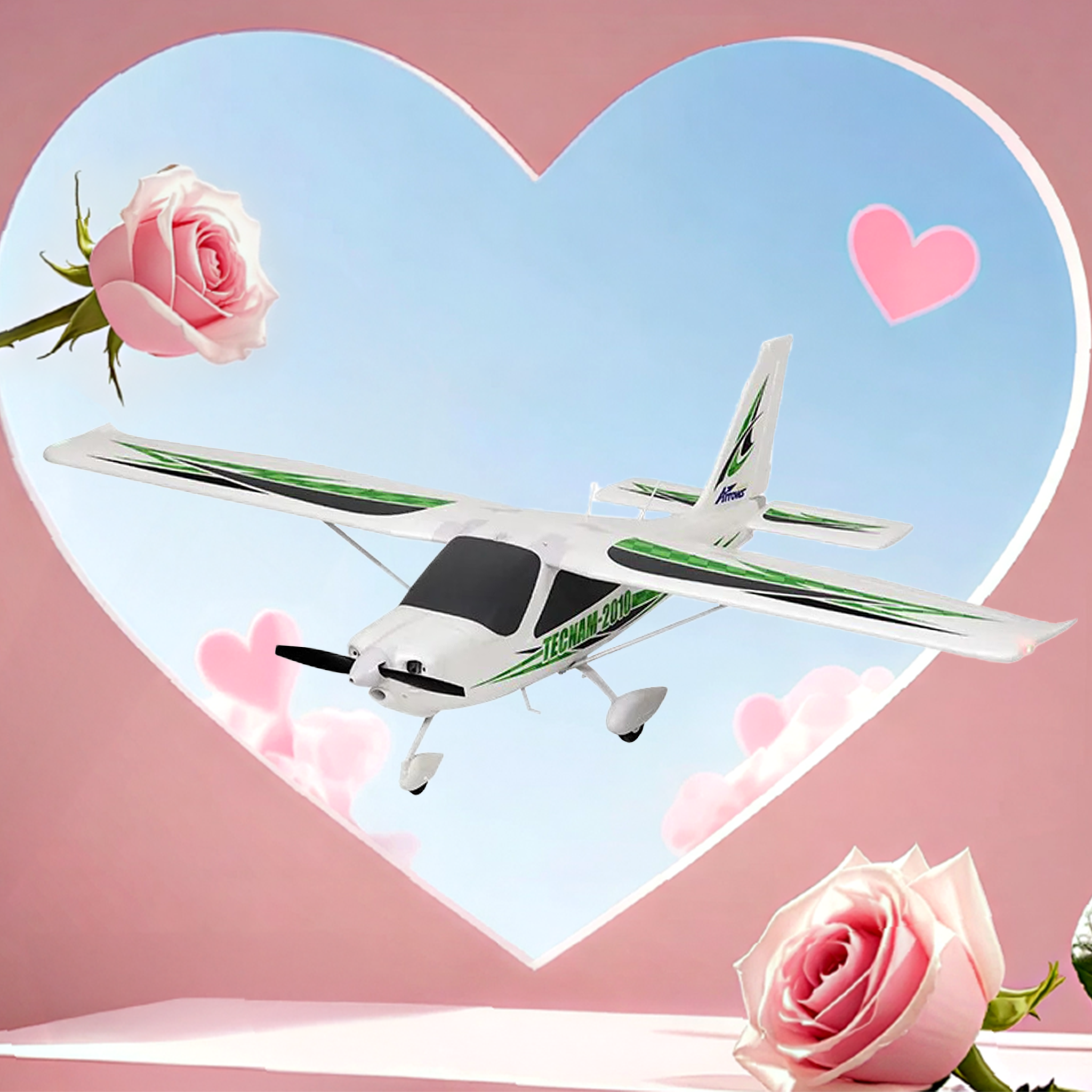 Arrows Tecnam-2010 1450mm PNP with Vector Flight Stabilization System Plus Floats