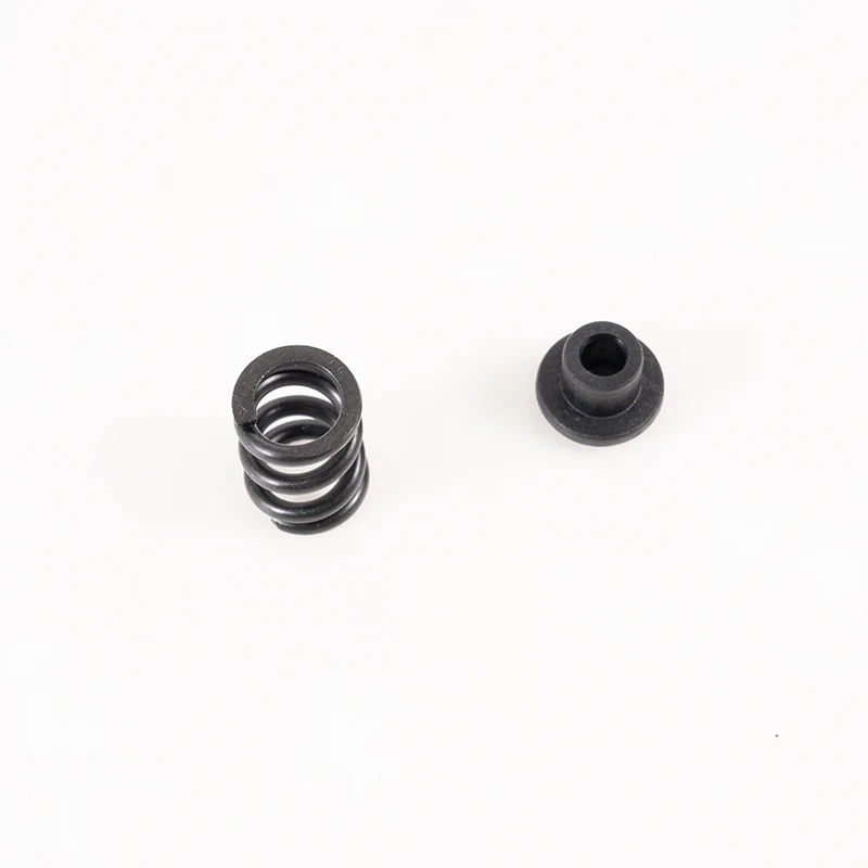 1:10 F100 Slipper Springs