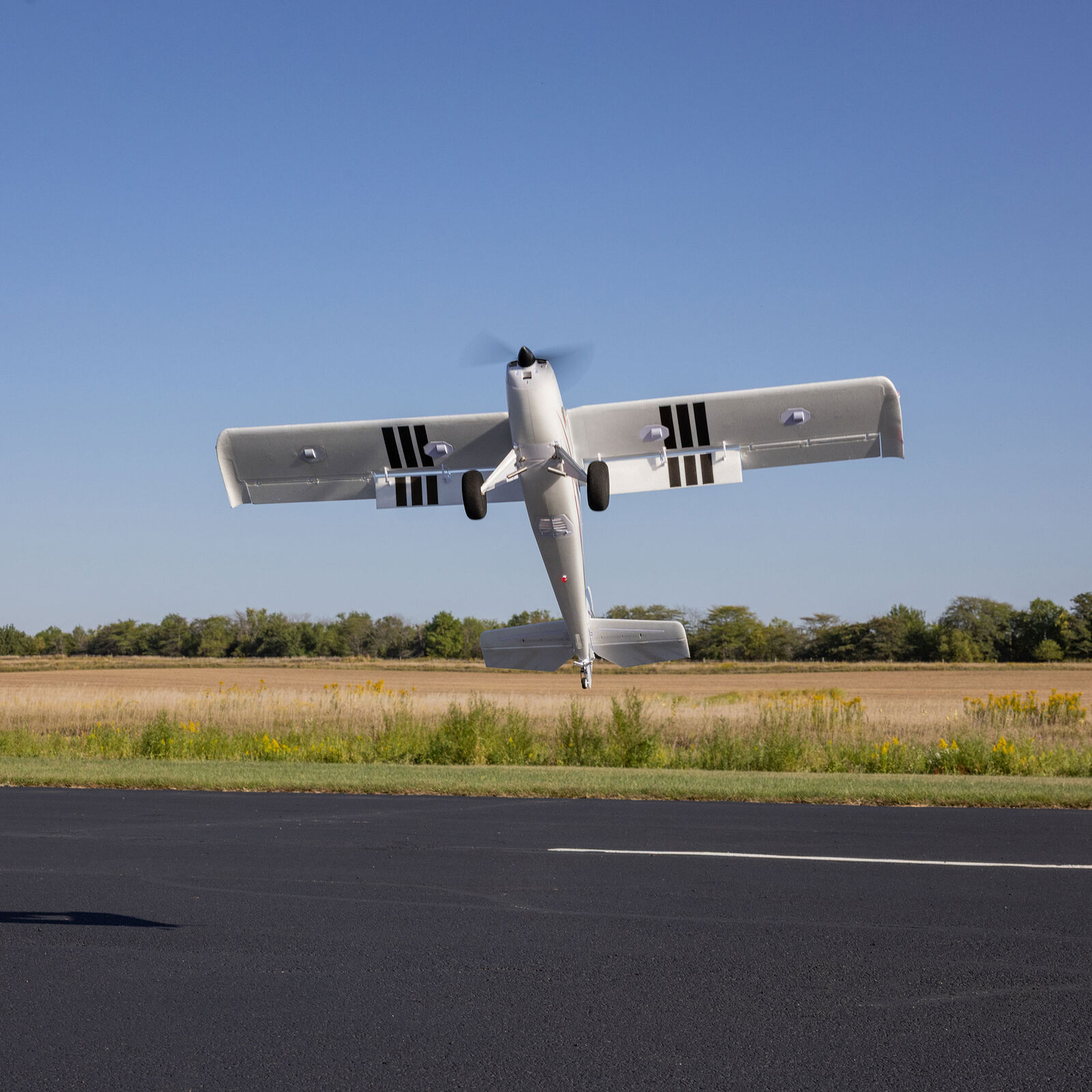 E-flite Timber 1500mm 10th Anniversary Special Edition BNF Basic with AS3X+ and SAFE Select-EFL-3352