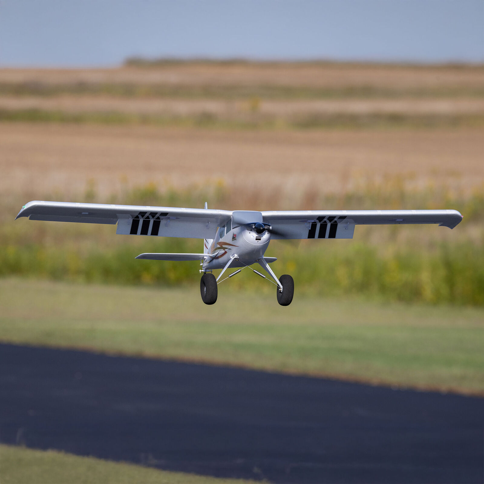 E-flite Timber 1500mm 10th Anniversary Special Edition BNF Basic with AS3X+ and SAFE Select-EFL-3352