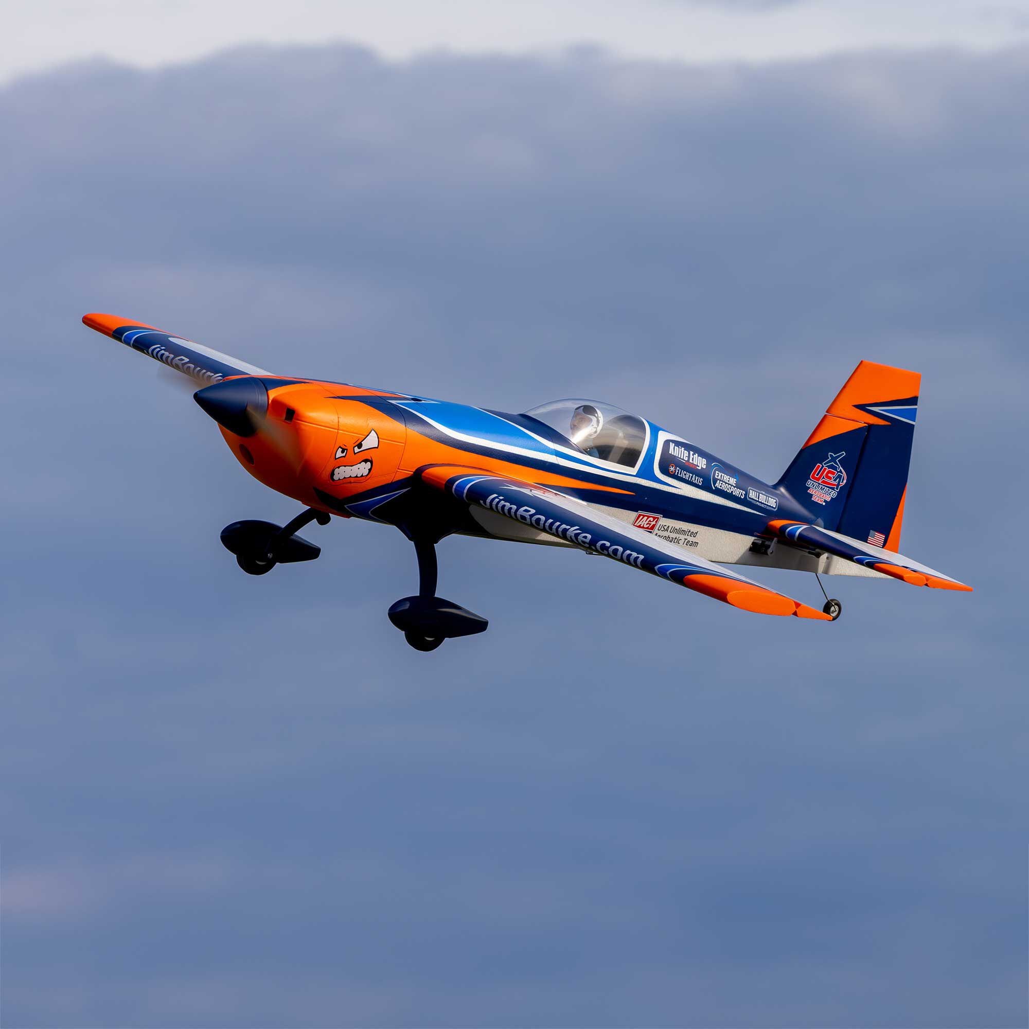 E-flite RC Airplanes BNF Basic – HOBBY ZONE