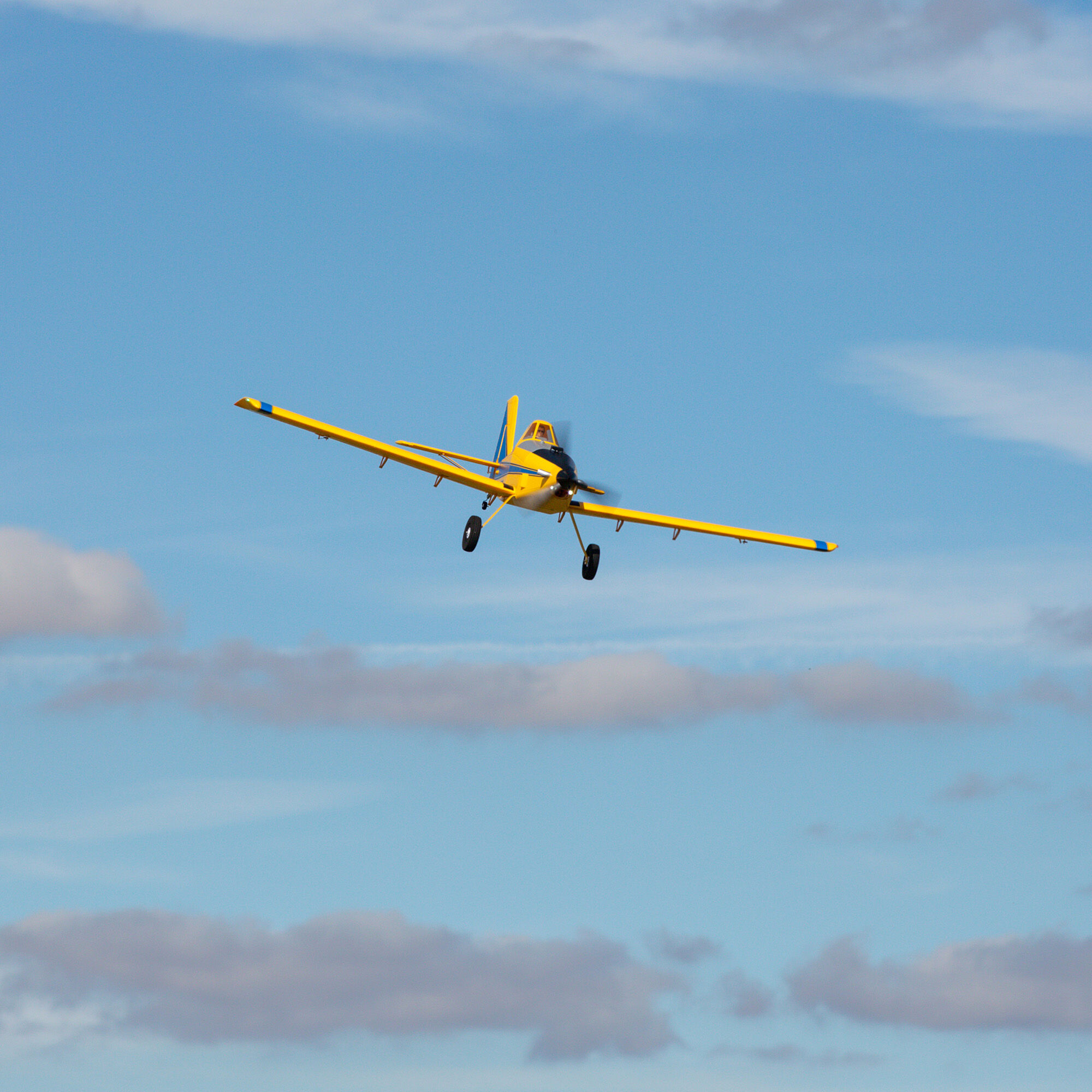 EFL16450
