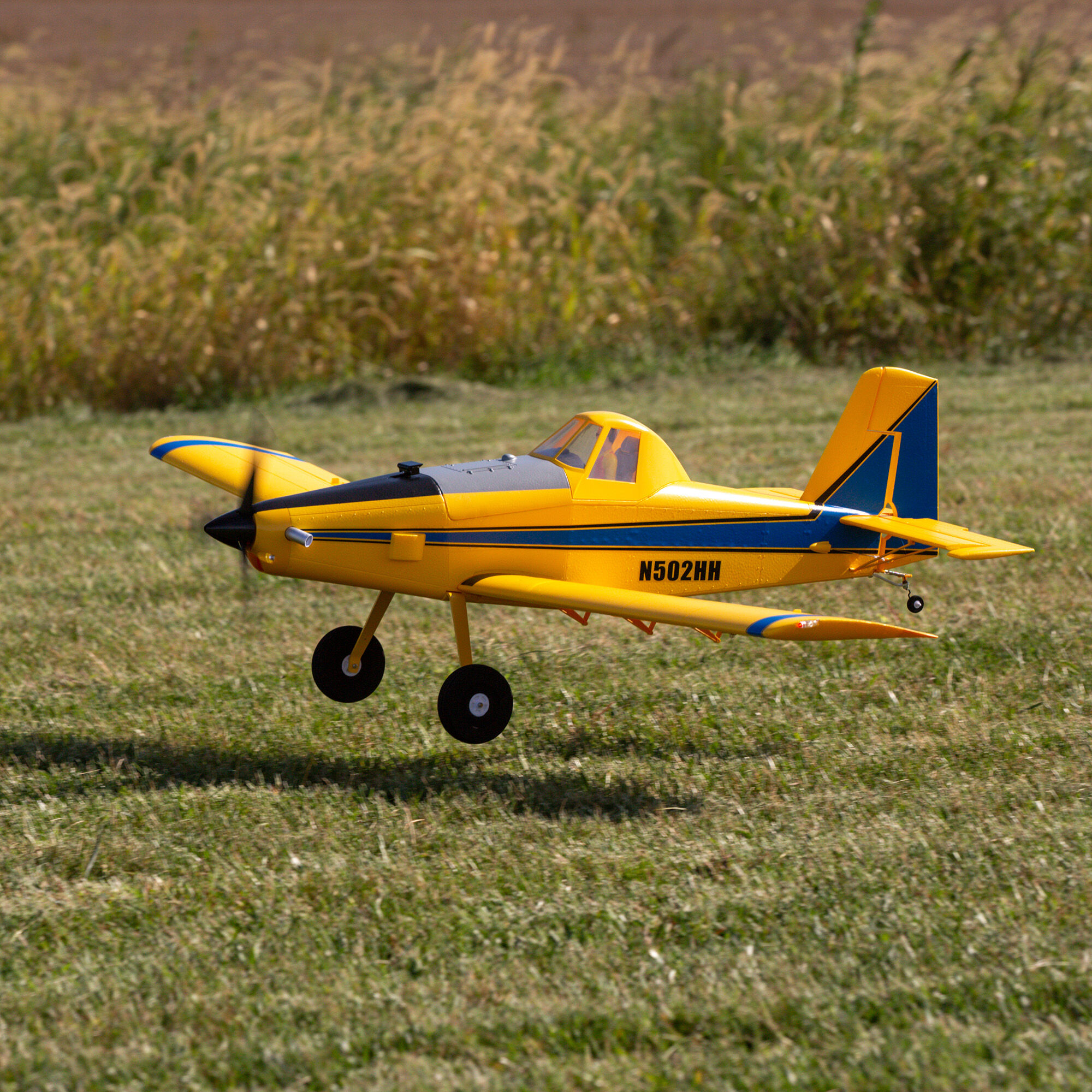 EFL16450