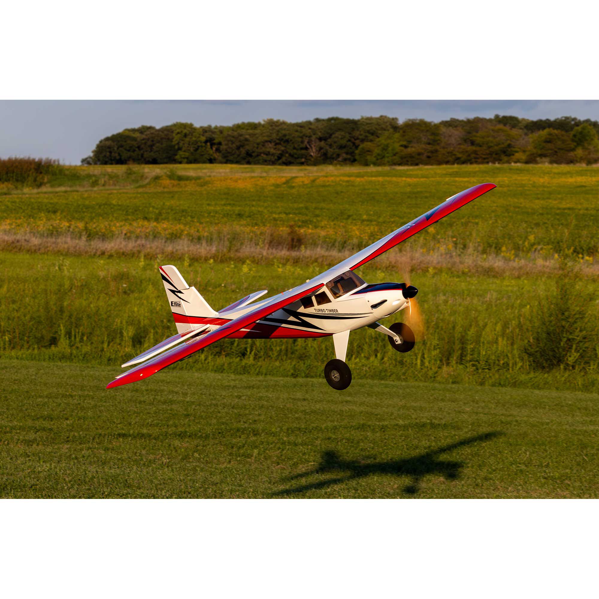 E-flite Turbo Timber SWS 2.0m ARF-EFL71765