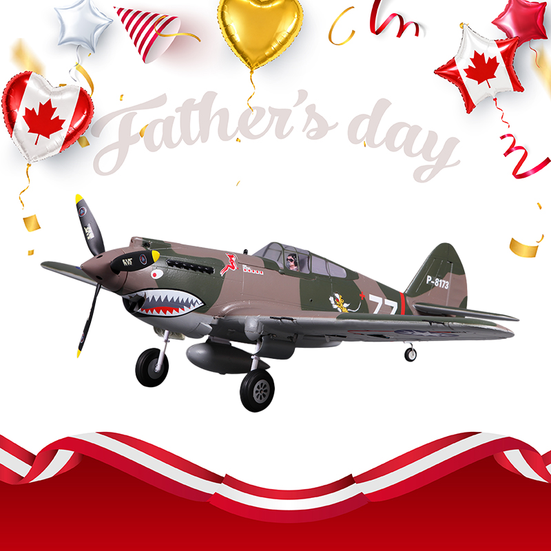 FMS 980mm P-40B Flying Tiger PNP(Only Shipped to Canada)