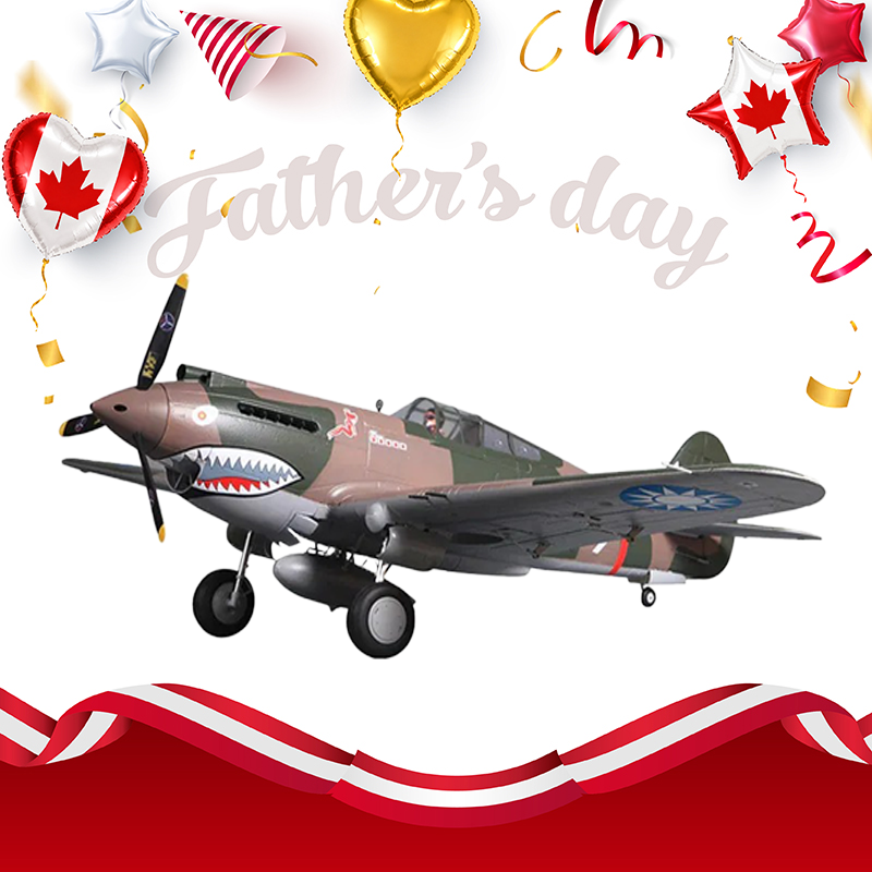 FMS 1400mm P-40B Warhawk Flying Tiger PNP(Only Shipped to Canada)
