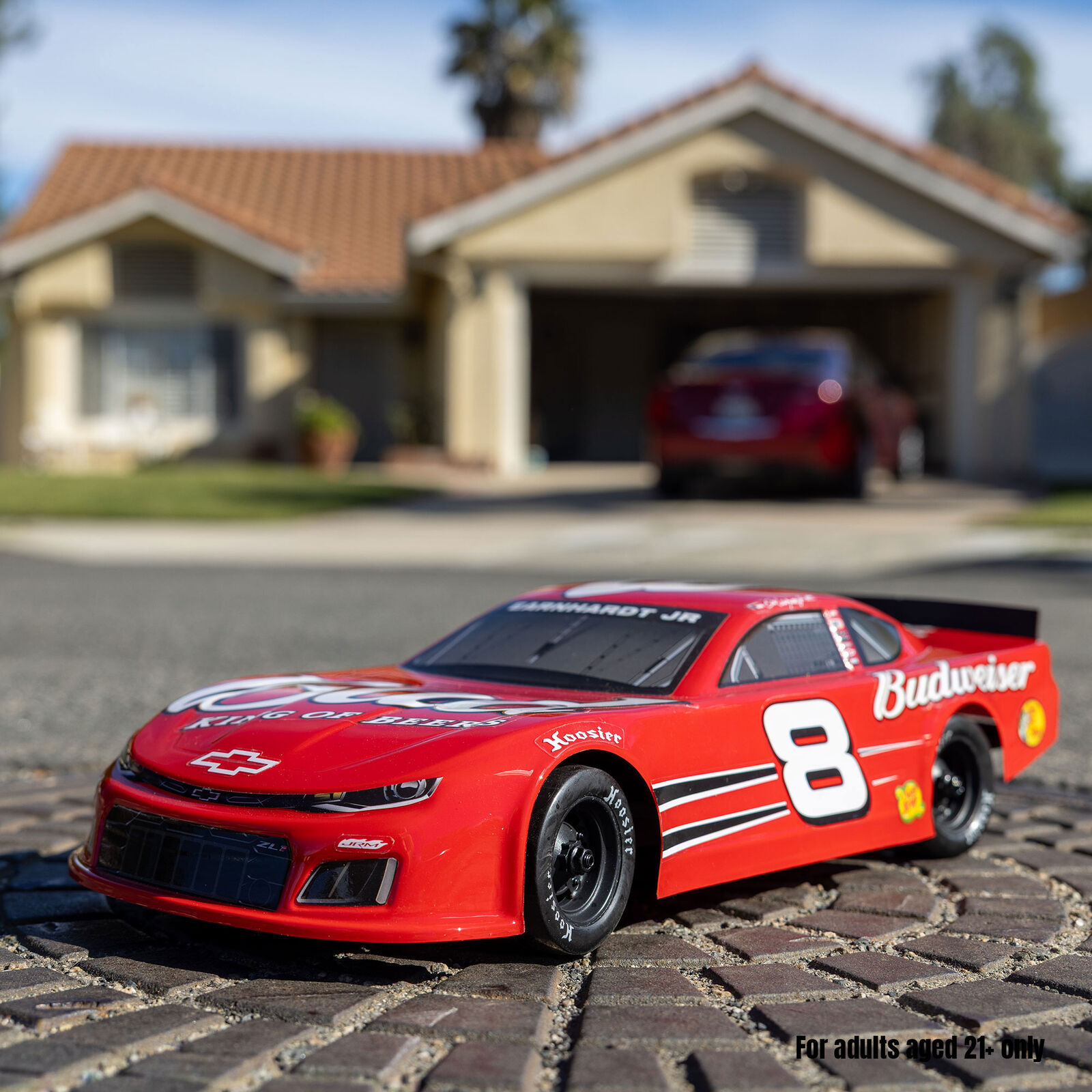 Losi 1/12 Asphalt Late Model Dale Earnhardt Jr. No. 8 (Battery & Charger Included)-LOS-3104T1/LOS-3104T2