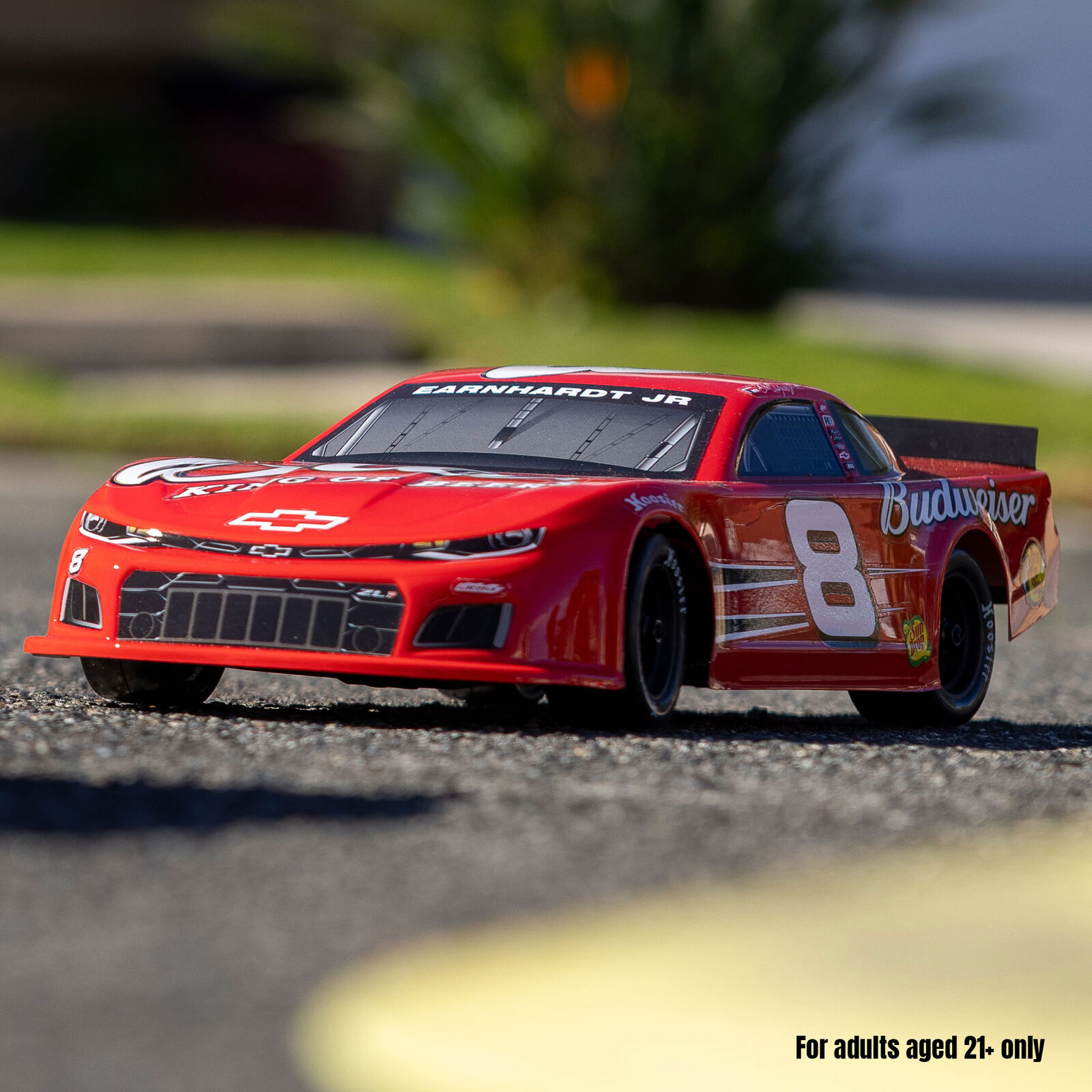 Losi 1/12 Asphalt Late Model Dale Earnhardt Jr. No. 8 (Battery & Charger Included)-LOS-3104T1/LOS-3104T2