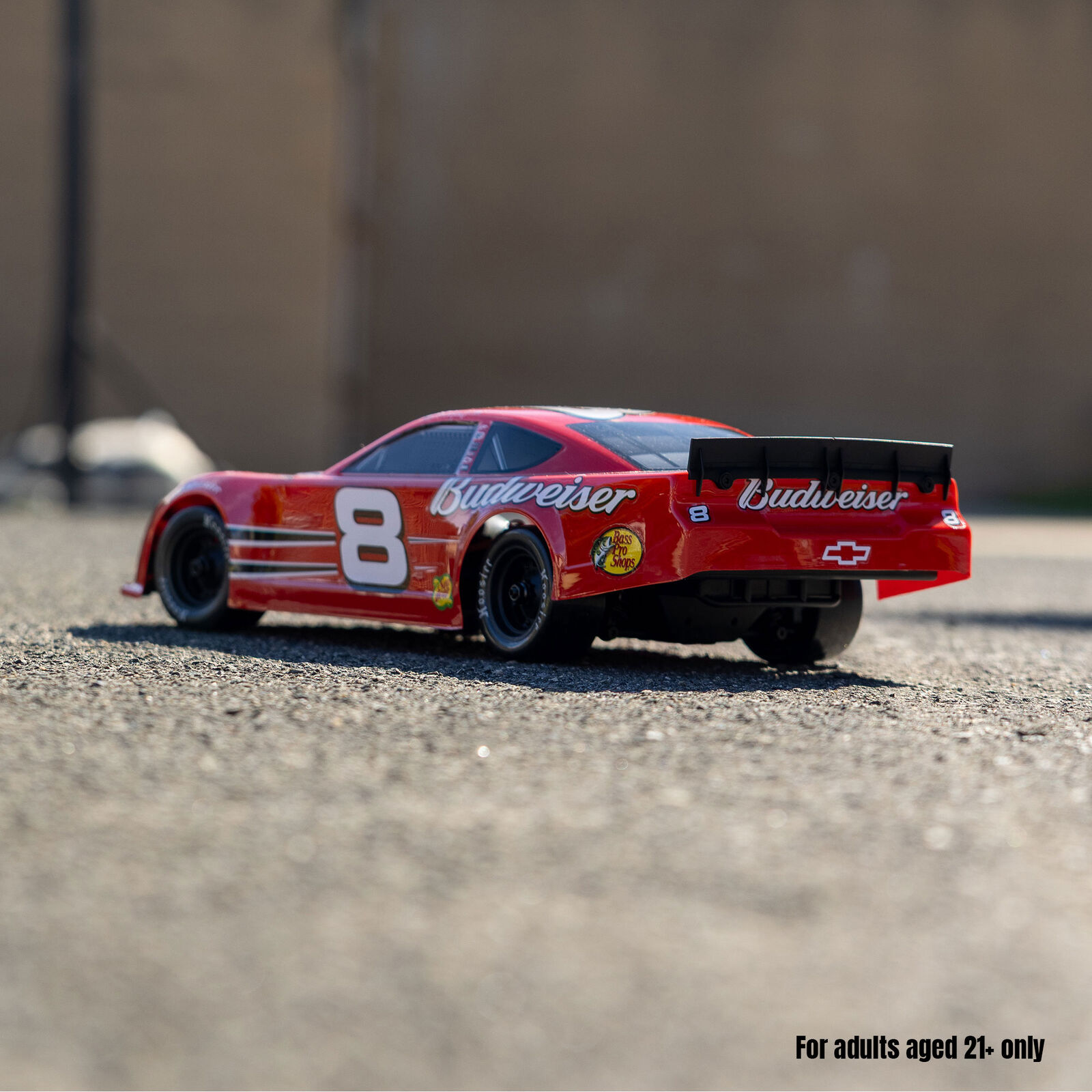 Losi 1/12 Asphalt Late Model Dale Earnhardt Jr. No. 8 (Battery & Charger Included)-LOS-3104T1/LOS-3104T2