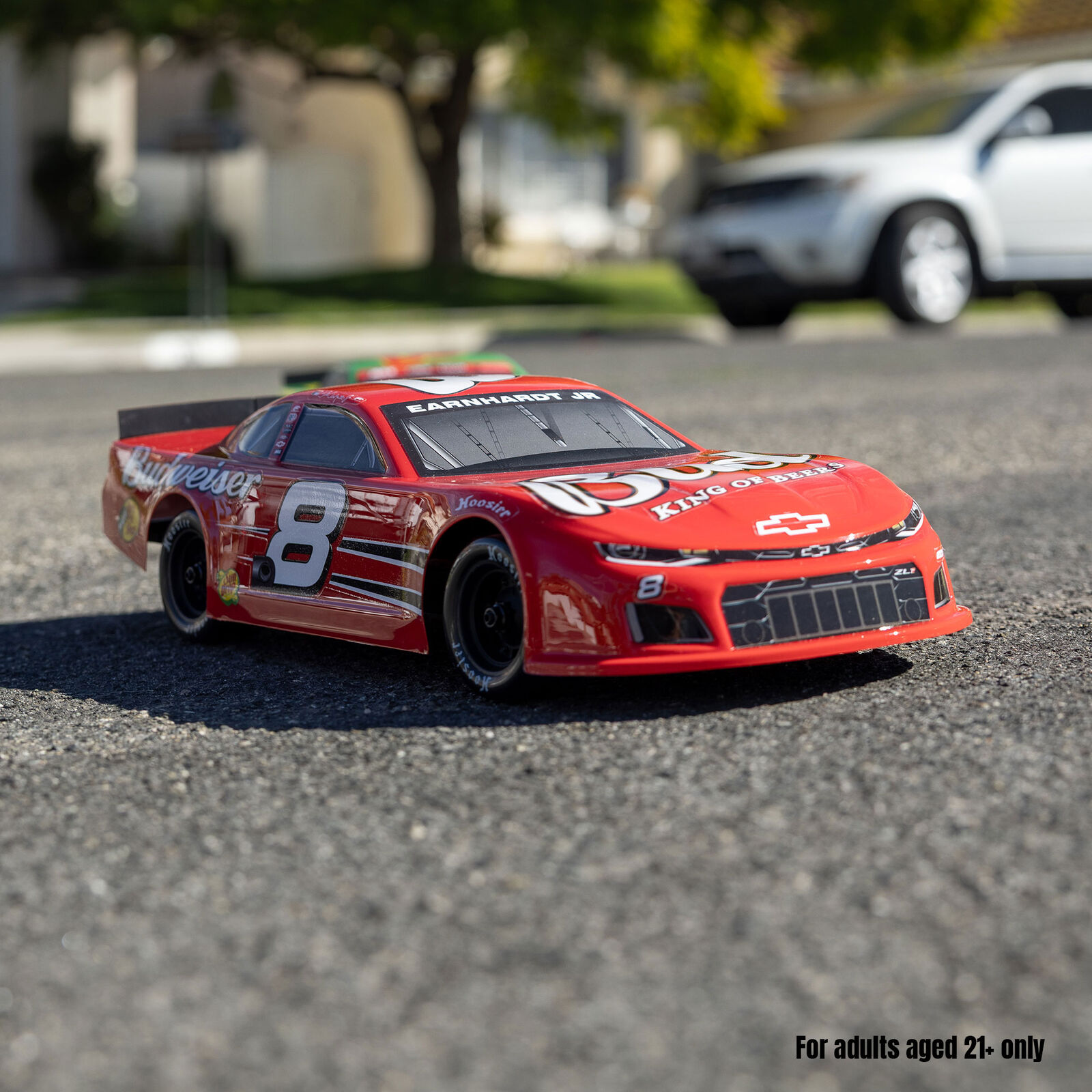 Losi 1/12 Asphalt Late Model Dale Earnhardt Jr. No. 8 (Battery & Charger Included)-LOS-3104T1/LOS-3104T2