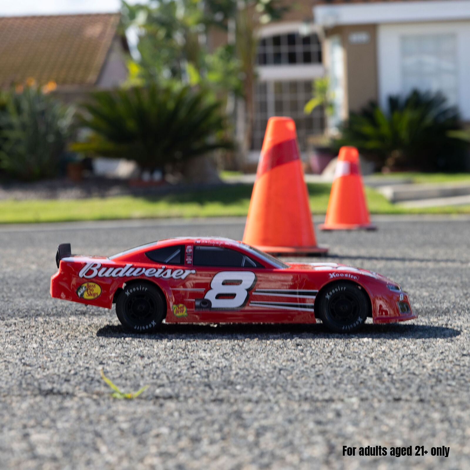 Losi 1/12 Asphalt Late Model Dale Earnhardt Jr. No. 8 (Battery & Charger Included)-LOS-3104T1/LOS-3104T2