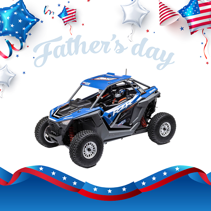 Losi 1:10 RZR Rey Polaris 3S 4X4 RTR Brushless RC Buggy Side by Side-LOS03029T1/LOS03029T2